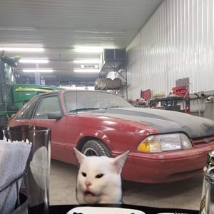 Meet your Posher, Jacob